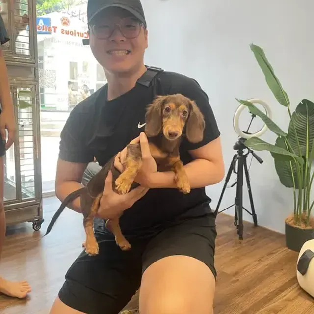 Puppy with their new family in Singapore