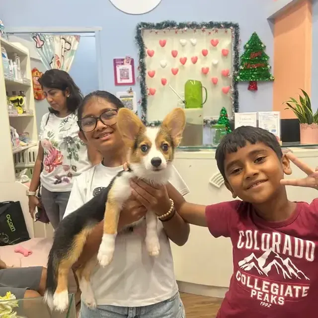 Puppy with their new family in Singapore