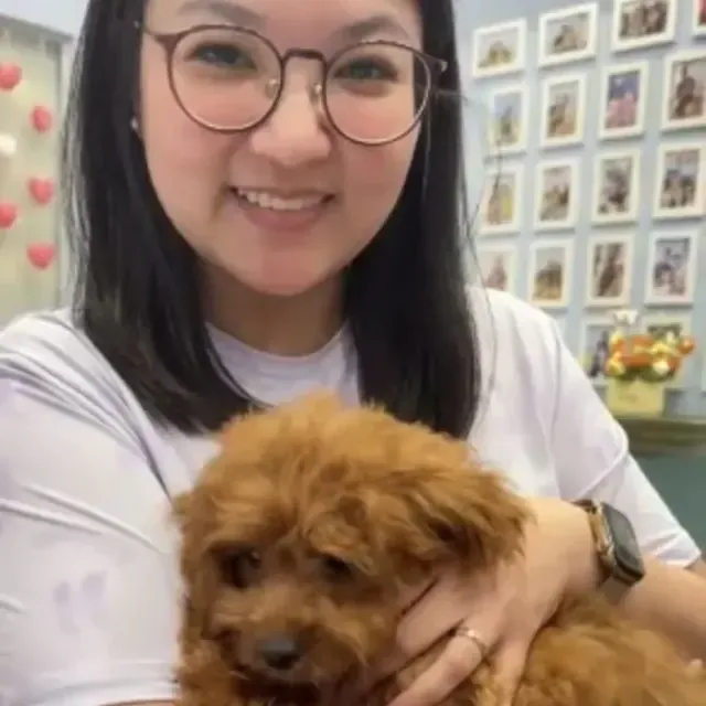 Puppy with their new family in Singapore