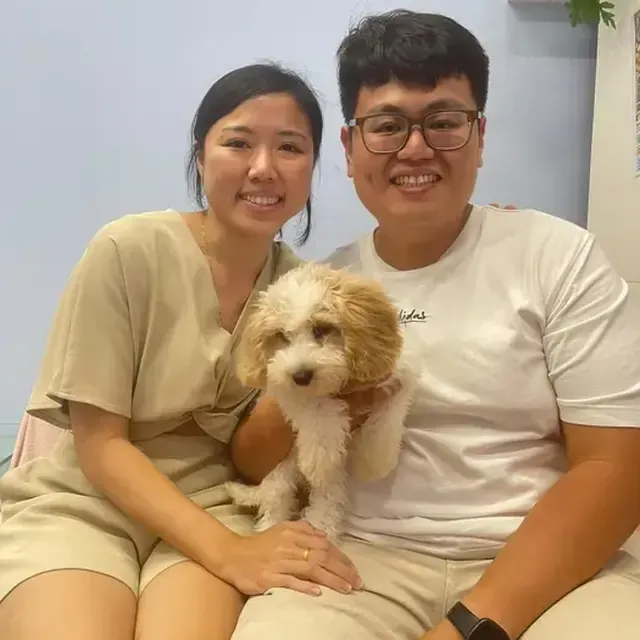 Puppy with their new family in Singapore