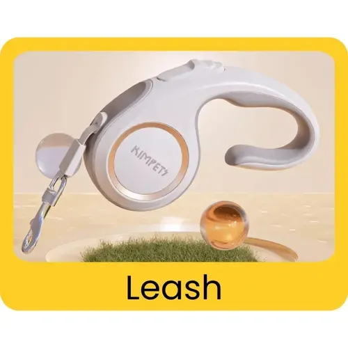 Leash included in the free puppy starter kit