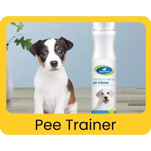 Pee Training included in the free puppy starter kit