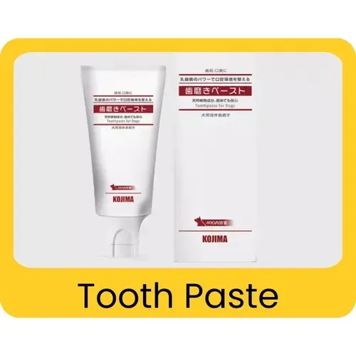 Tooth Paste included in the free puppy starter kit